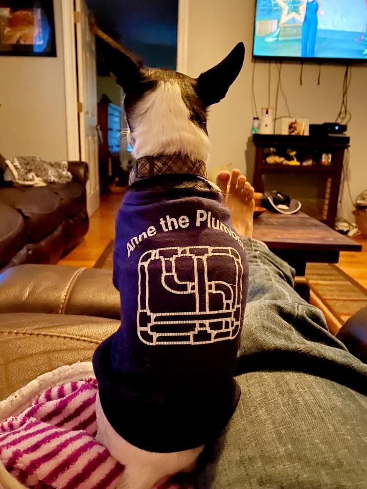 Sammi, the Anne the Plumber mascot, wearing an ATP shirt