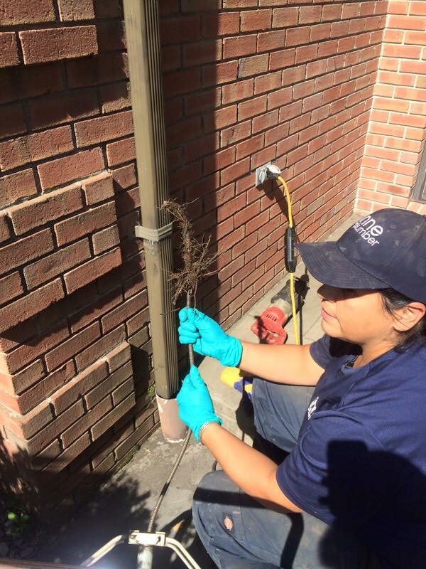 Anne the Plumber boiler repair service